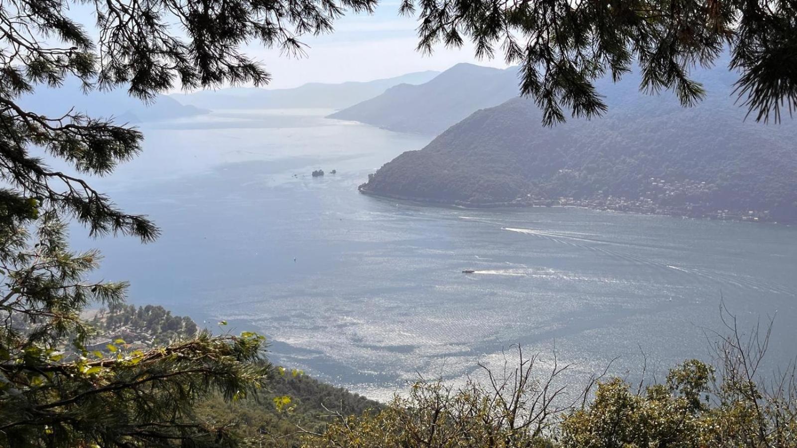 Villa Del Castanar Maccagno Экстерьер фото